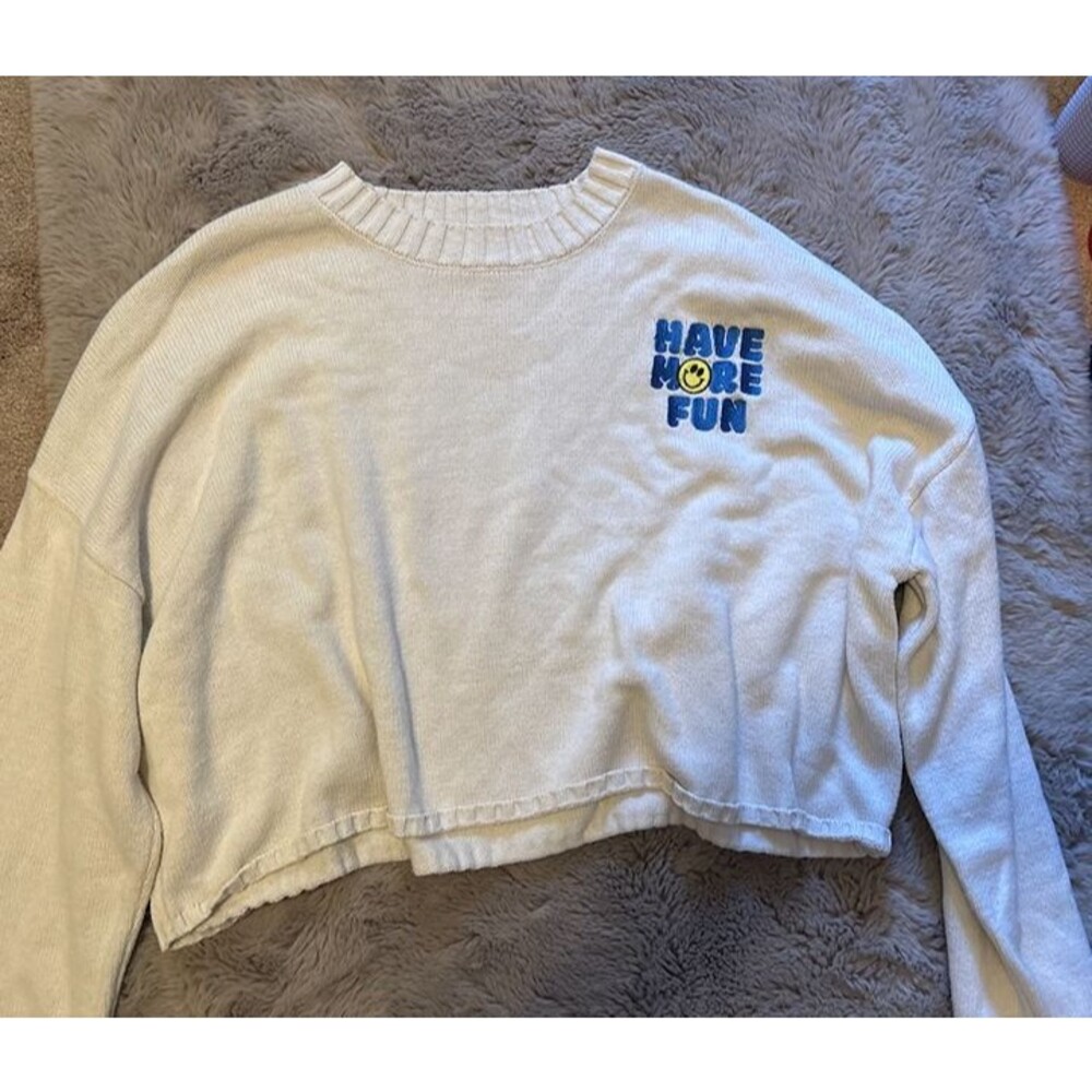 Have More Fun Embroidered Crewneck Sweater